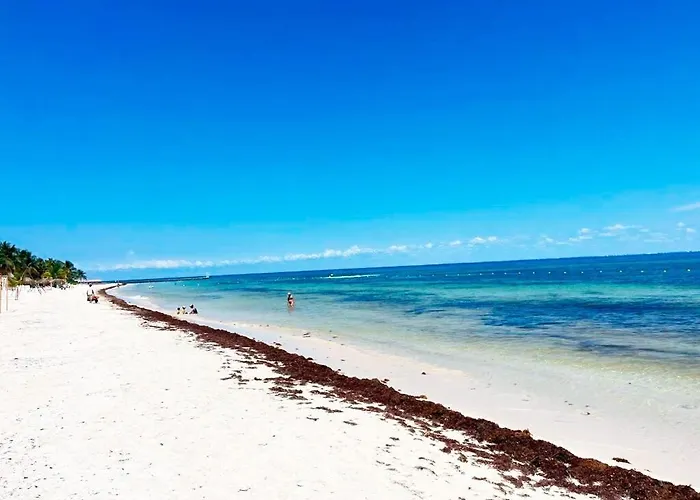 Beachside Tranquility *